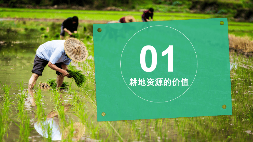 1.3中国的耕地与粮食安全课件（49张）