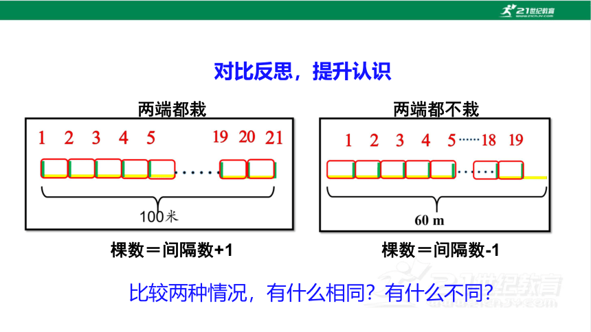 新人教版数学五年级上册7.2.植树问题（2）课件(20张PPT)