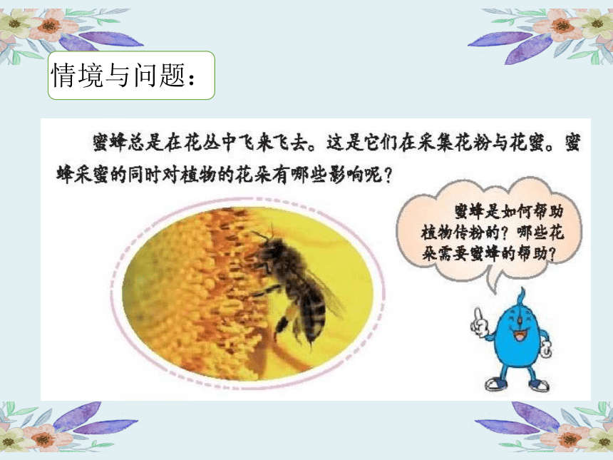 冀人版（2017秋）三年级下册科学10蜜蜂传粉（课件14张ppt）