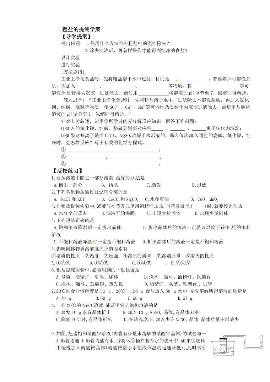 鲁教版九年级化学下册 第八单元 到实验室去 ：粗盐的提纯 学案