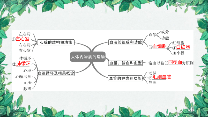 2023年中考生物复习 课题二 人体内物质的运输课件(共36张PPT)