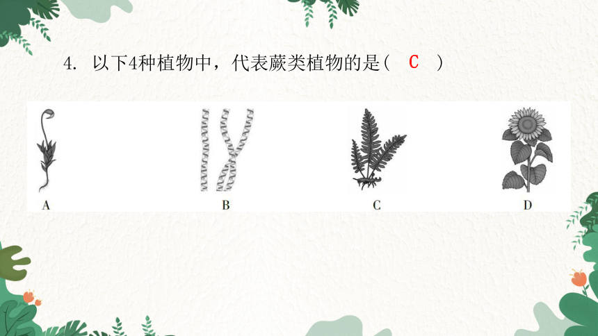 人教版生物七年级上册 第三单元生物圈中的绿色植物水平测试卷习题课件(共44张PPT)