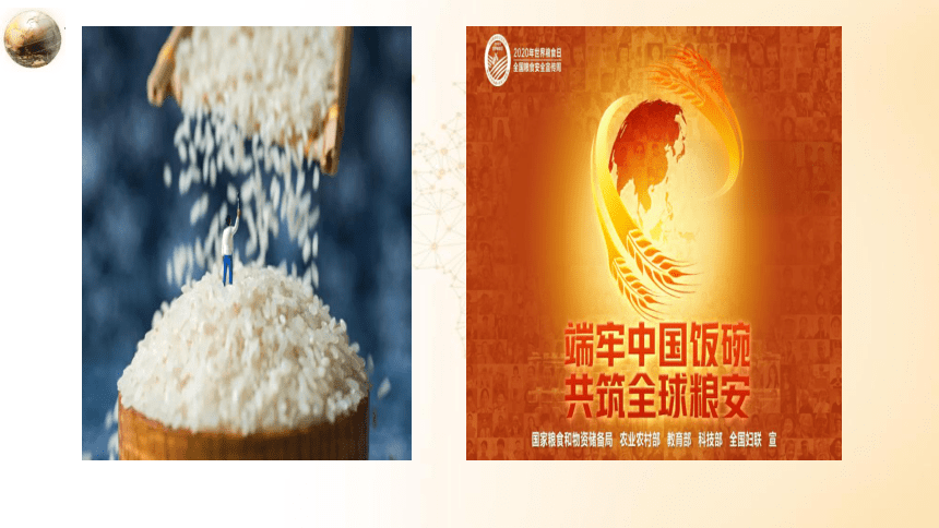 中国的粮食安全 课件（32张PPT）-2023届高考政治二轮专题复习热点透析