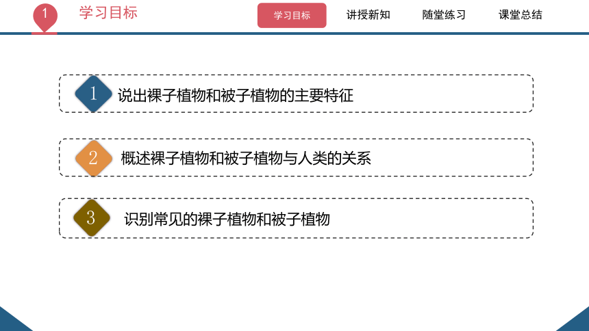 3.1.2  种子植物（课时2 裸子植物和被子植物）课件-2023-2024学年人教版生物七年级上册(共22张PPT)