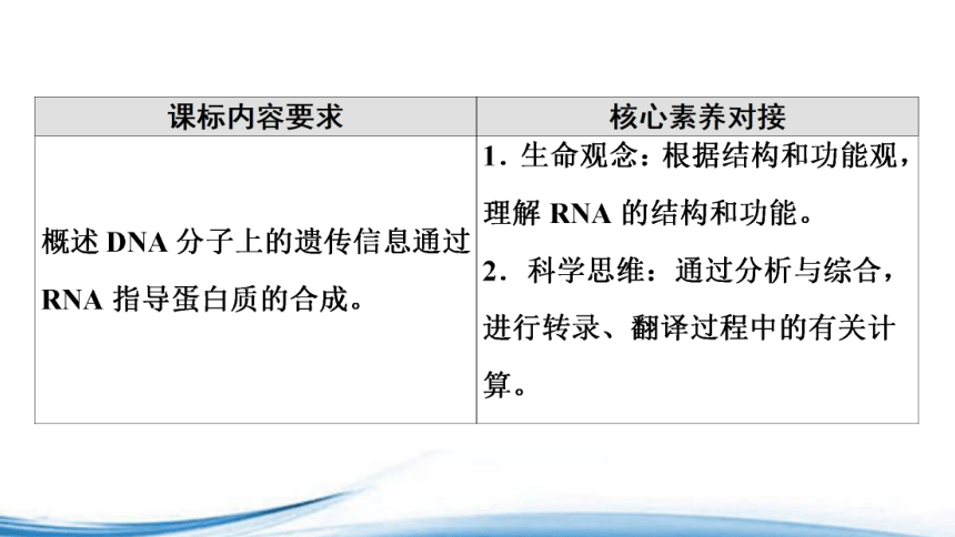 苏教版（2019）高中生物必修二 2.3第1课时DNA分子通过RNA指导蛋白质的合成 课件（57张ppt）