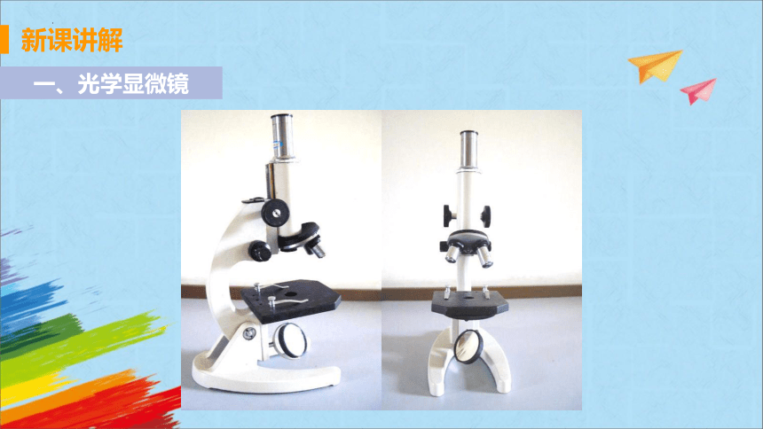 2022-2023学年人教版生物七年级上册 2.1.1 练习使用显微镜  教学课件（共37张PPT）