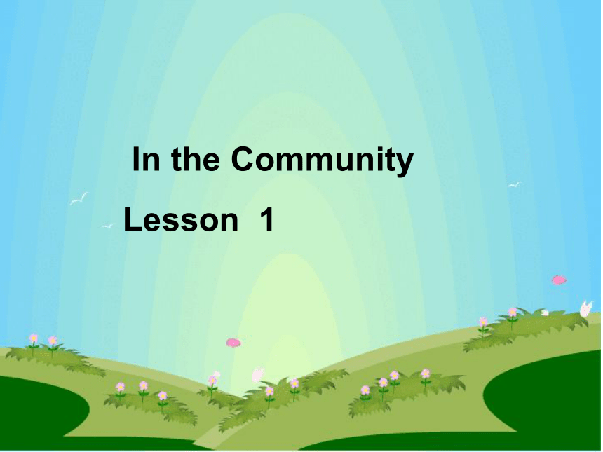 Unit 4 In the Community Lesson 1 课件