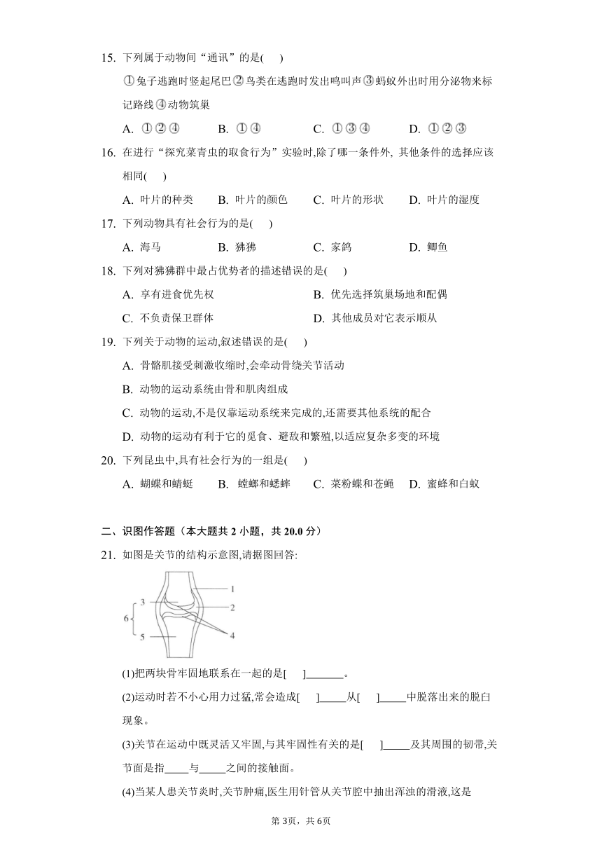 5.2动物的运动和行为 2022-2023学年人教版生物八年级上册同步作业(word版含答案）