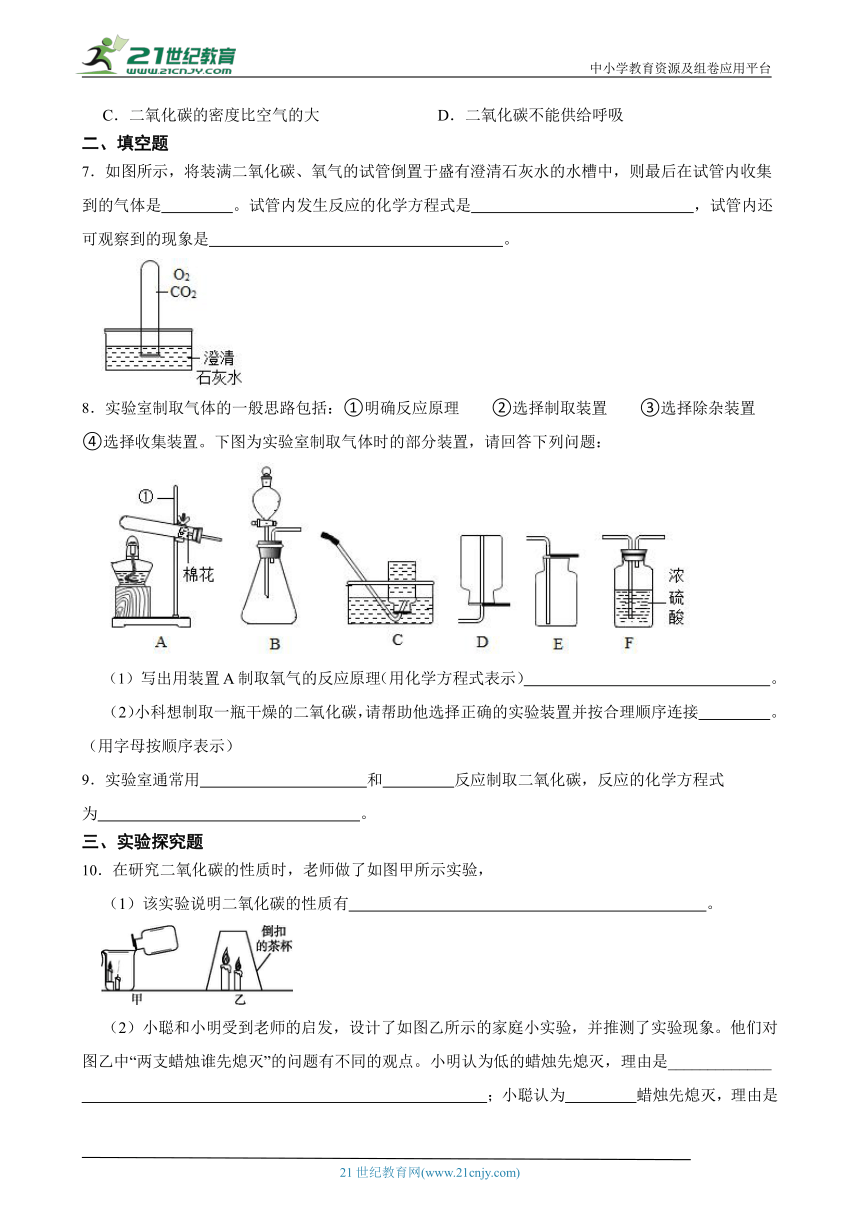 浙教版八下 3.4二氧化碳 随堂练习（含解析）