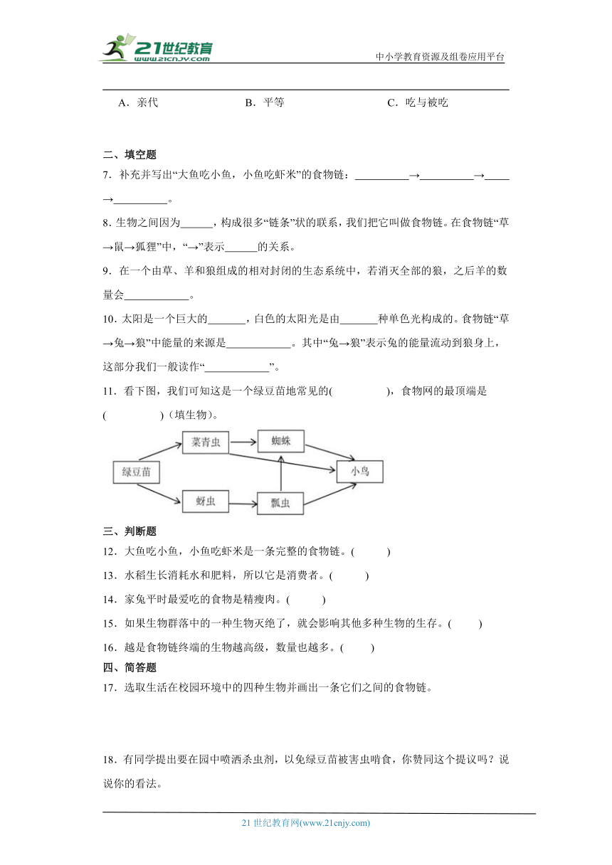 教科版五年级下册科学1.6食物链和食物网（知识点同步训练）