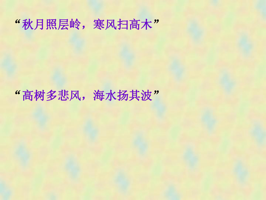 9.《说“木叶”》课件（共47张PPT）2022-2023学年统编版高中语文必修下册