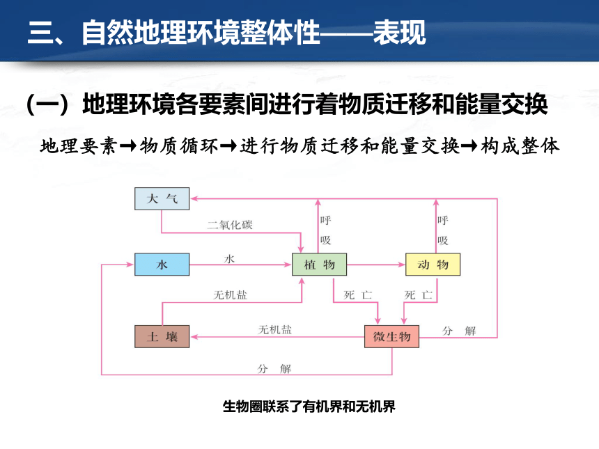 5.1自然地理环境的整体性（共17张PPT）