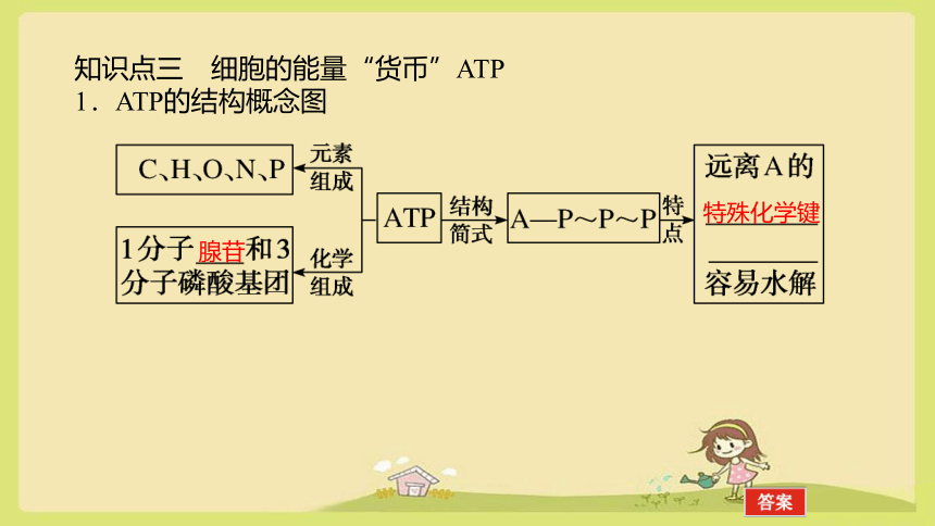 【备考2024】高三一轮复习课件：3-1酶与ATP(共108张PPT)