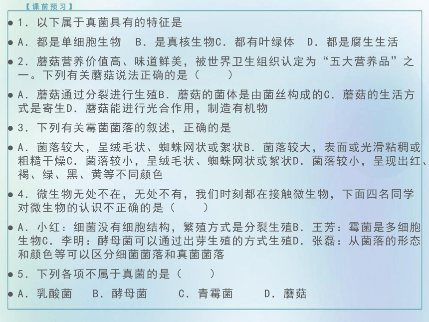 5.4.3 真菌课件(共28张PPT)2021——2022学年人教版八年级生物上册