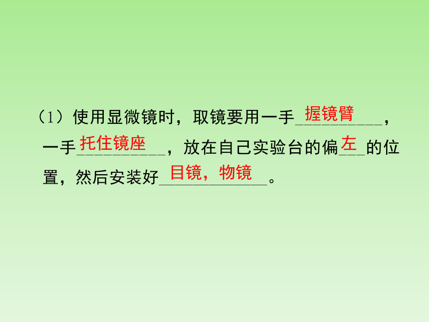 人教版七年级生物上册2.1《细胞是生命活动的基本单位》复习课件(共29张PPT)