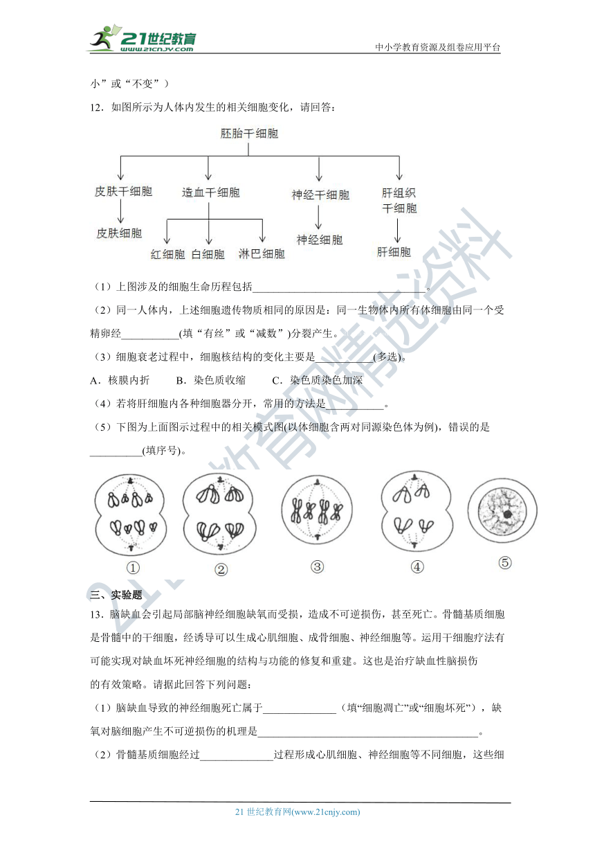 【新人教版】高中生物必修一6.3细胞的衰老和死亡 同步课后培优练（含解析）