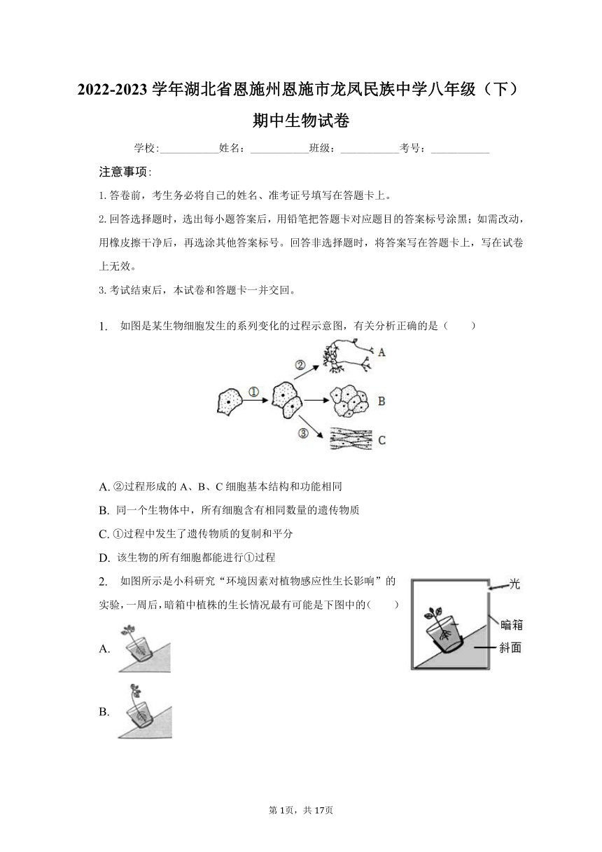 2022-2023学年湖北省恩施州恩施市龙凤民族中学八年级（下）期中生物试卷（含解析）