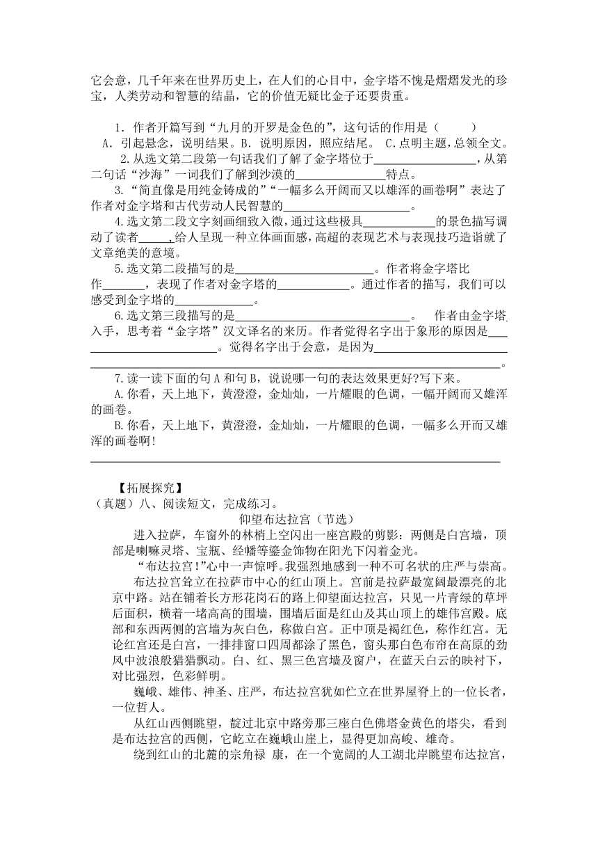 20金字塔 同步训练（含答案）