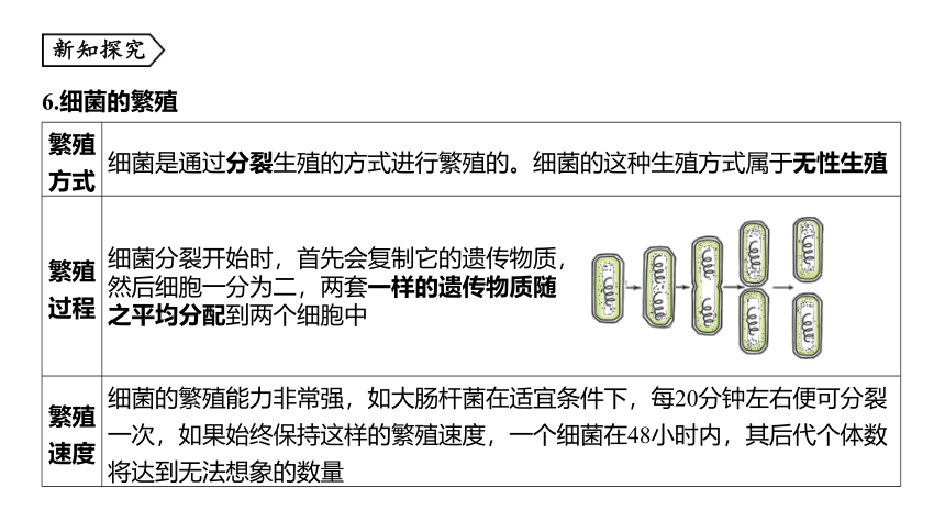 第6节 细菌和真菌的繁殖 同步练习（49张ppt）