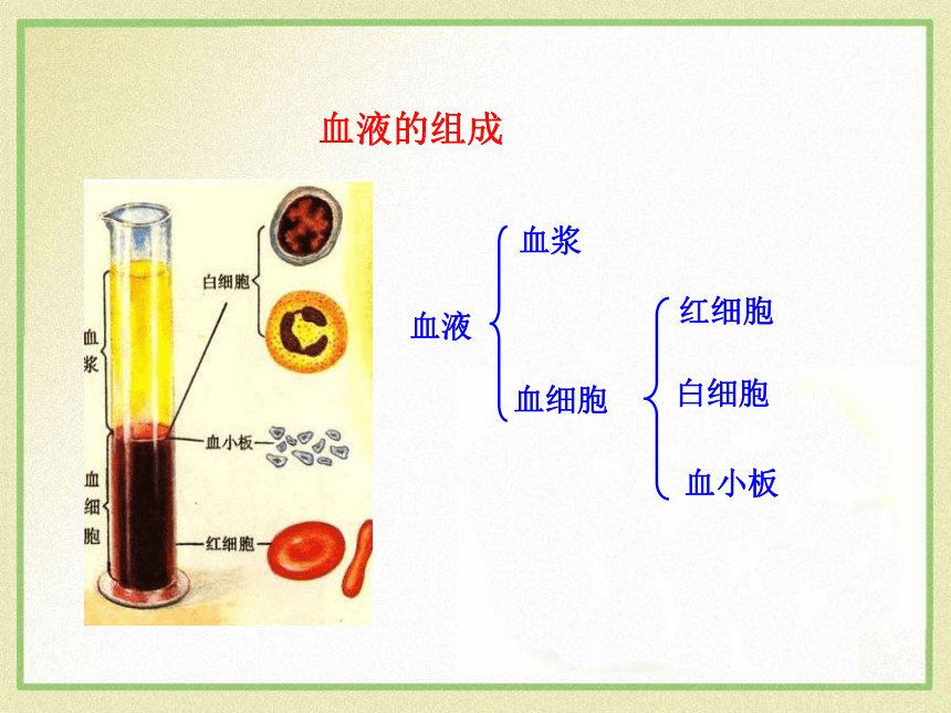 9.1血液课件(共40张PPT)