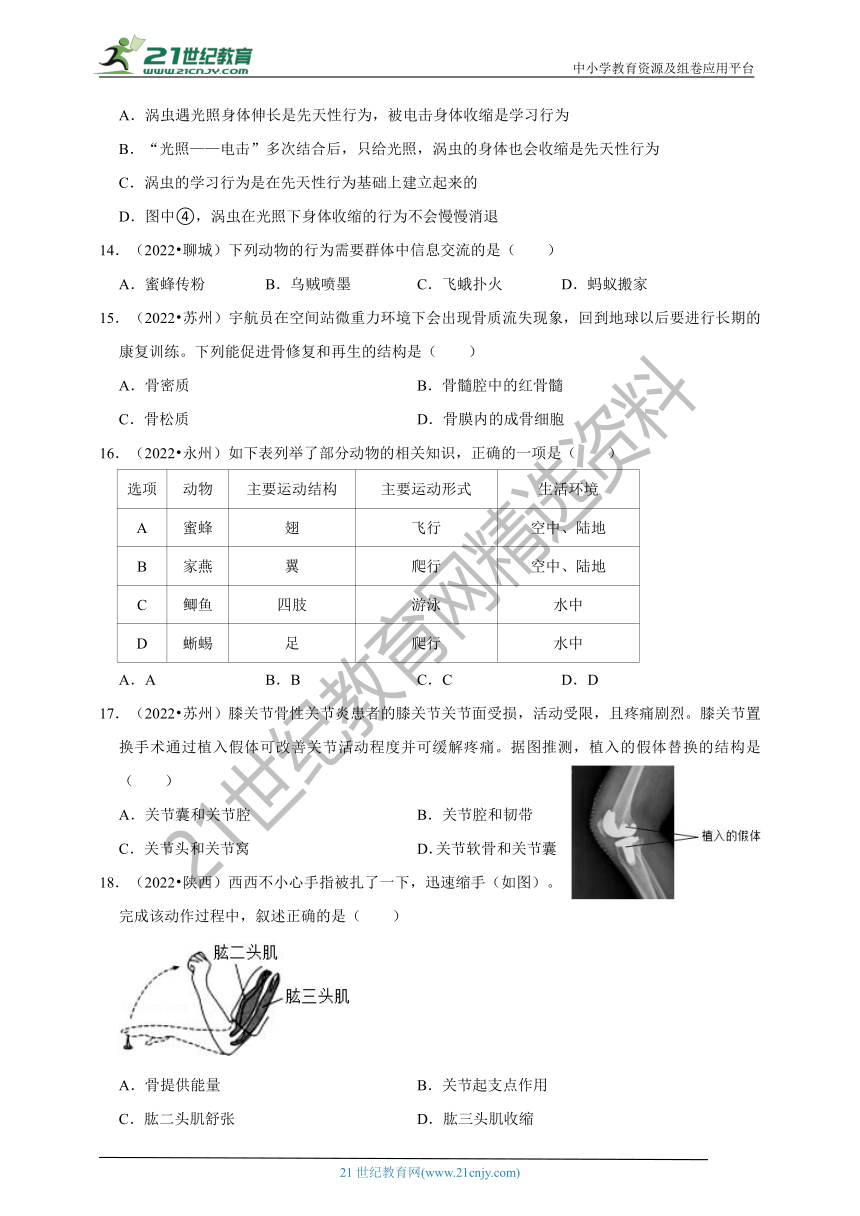 【备考2023】2022年中考生物真题分类汇编5——动物的运动和行为部分（含解析）