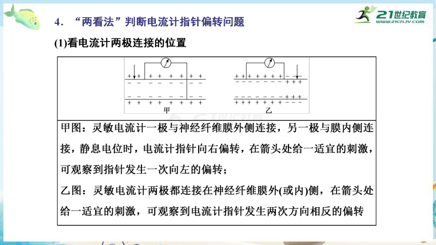 高三生物三轮复习专项突破10  生命活动调节相关实验分析与探究（共29张PPT）