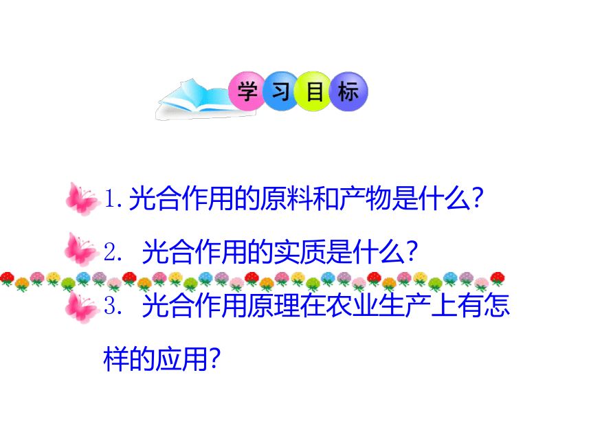 初中生物人教版七上：第3单元 第5章 第1节 光合作用吸收二氧化碳释放氧气 课件（共19张PPT）