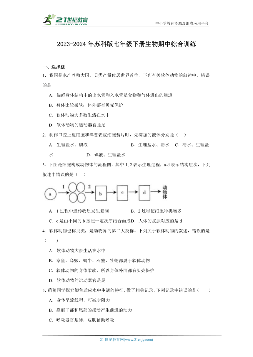 2023-2024年苏科版七年级下册生物期中综合训练（含解析）