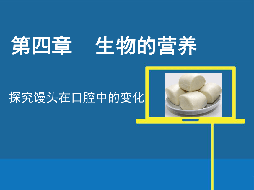初中生物北京版七年级上册第四章第三节 人和动物的营养 探究馒头在口腔中的变化课件(共32张PPT)