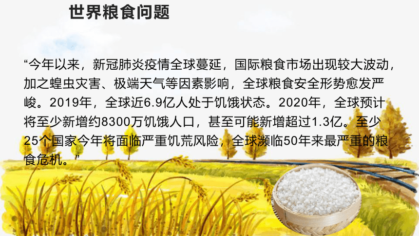 2021—2022学年统编版高中语文必修上册4.1《喜看稻菽千重浪》课件32张PPT