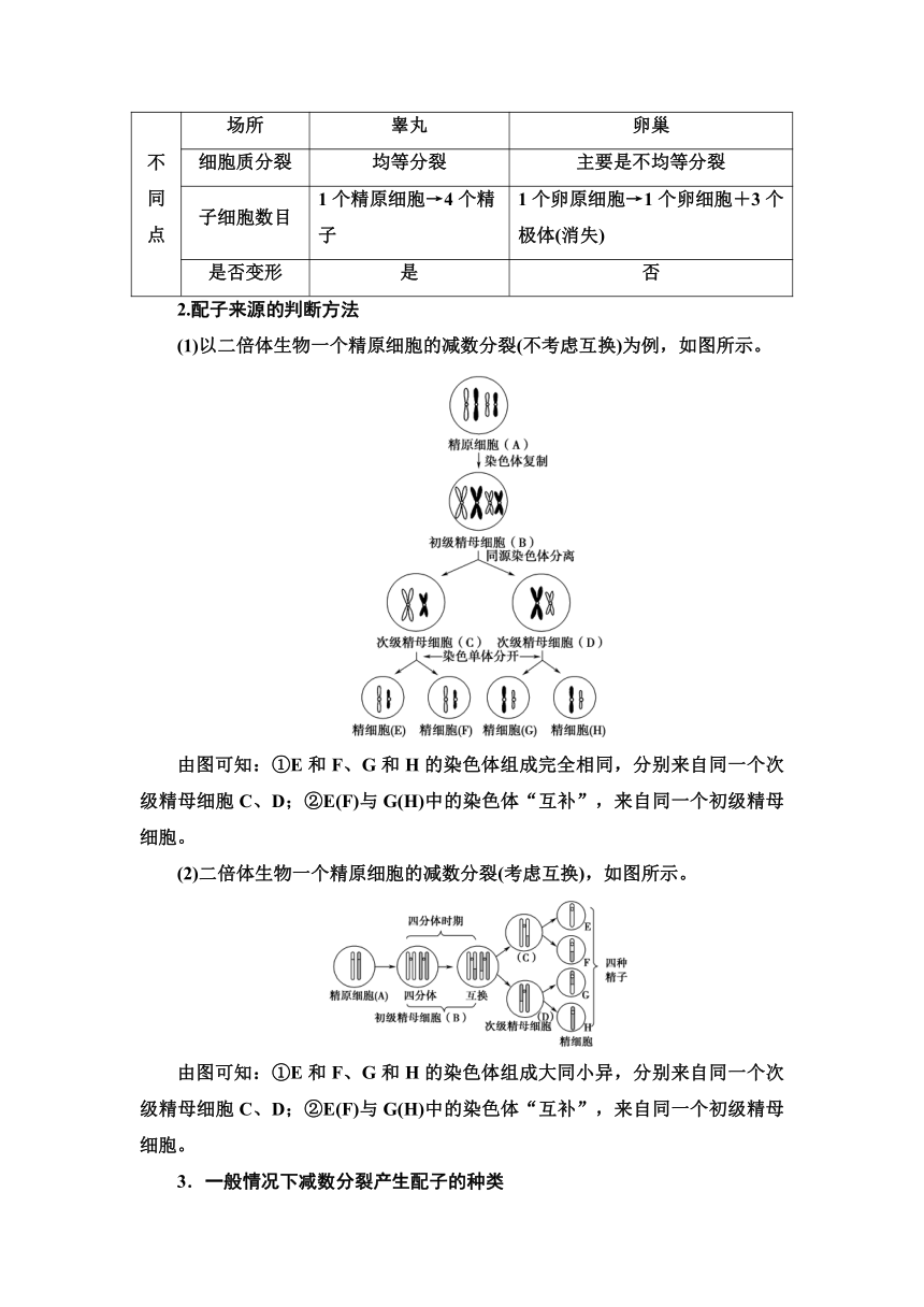 2020-2021学年苏教版（2019）高中生物： 必修2 第1章 第1节 第2课时 哺乳动物生殖细胞的形成、受精作用孕育新的生命 教案 Word版含答案