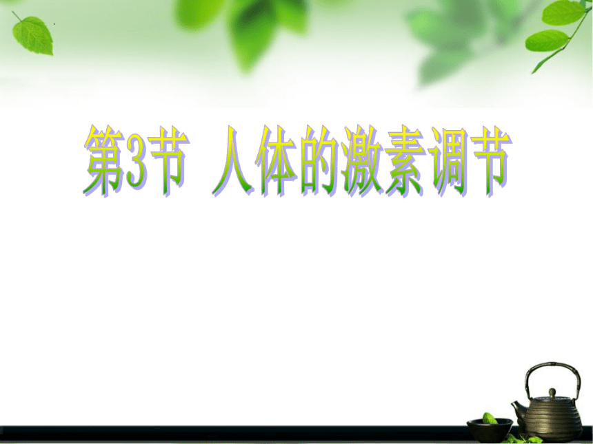 6.16.3人体的激素调节课件(共22张PPT)2022--2023学年苏科版生物八年级上册