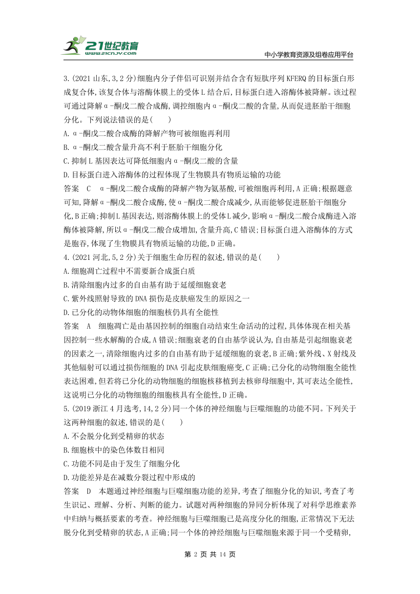 新人教一轮复习-10年真题分类训练：专题8 细胞的分化、衰老和死亡（Word版含解析）