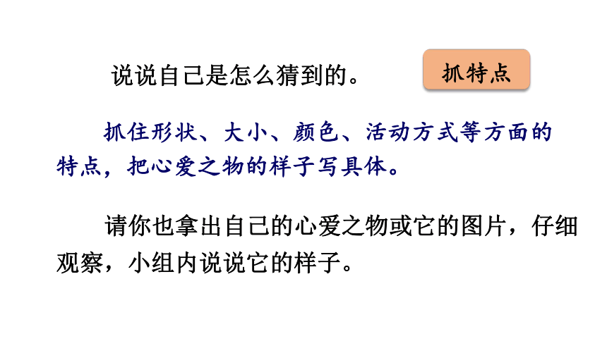 部编版语文五年级上册习作：我的心爱之物课件（45张PPT)