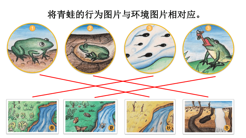 2023春教科版五年级科学下册1.5 当环境改变了 课件（21张PPT）