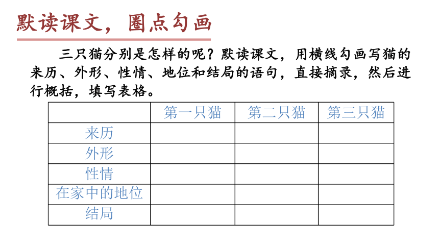 部编版七年级语文上册课(共41张PPT)件--16  猫