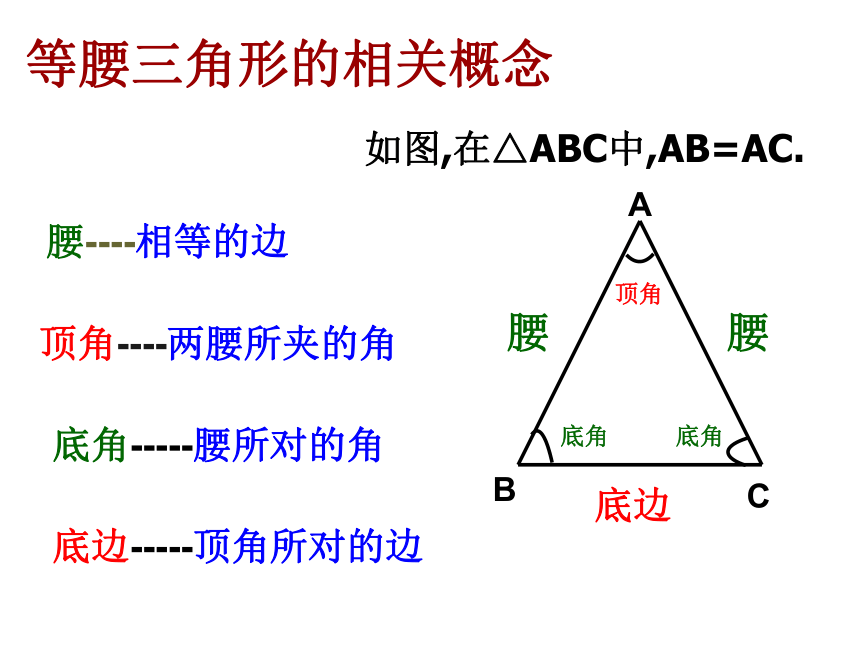 浙教版八年级上册 2.2 等腰三角形 课件(共17张PPT)