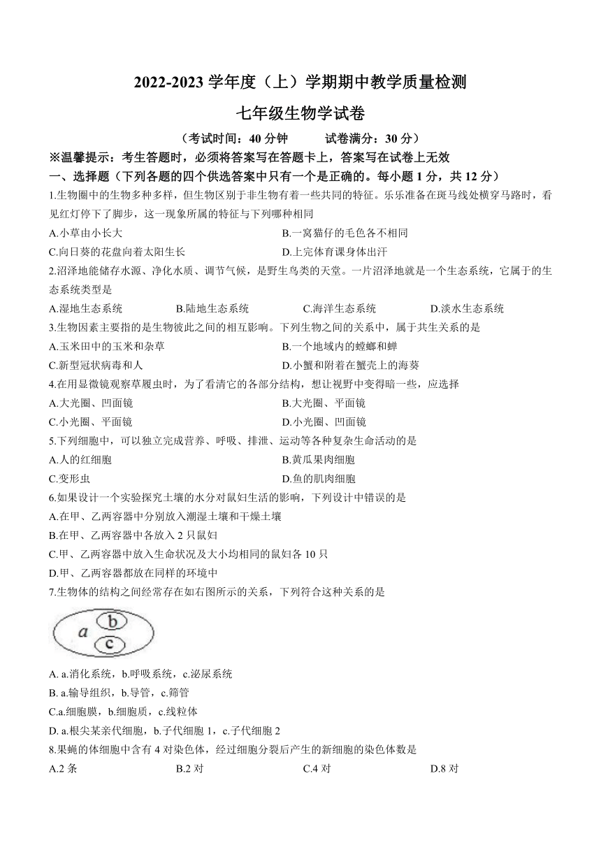 辽宁省抚顺市新抚区2022-2023学年七年级上学期期中生物试题（含答案）