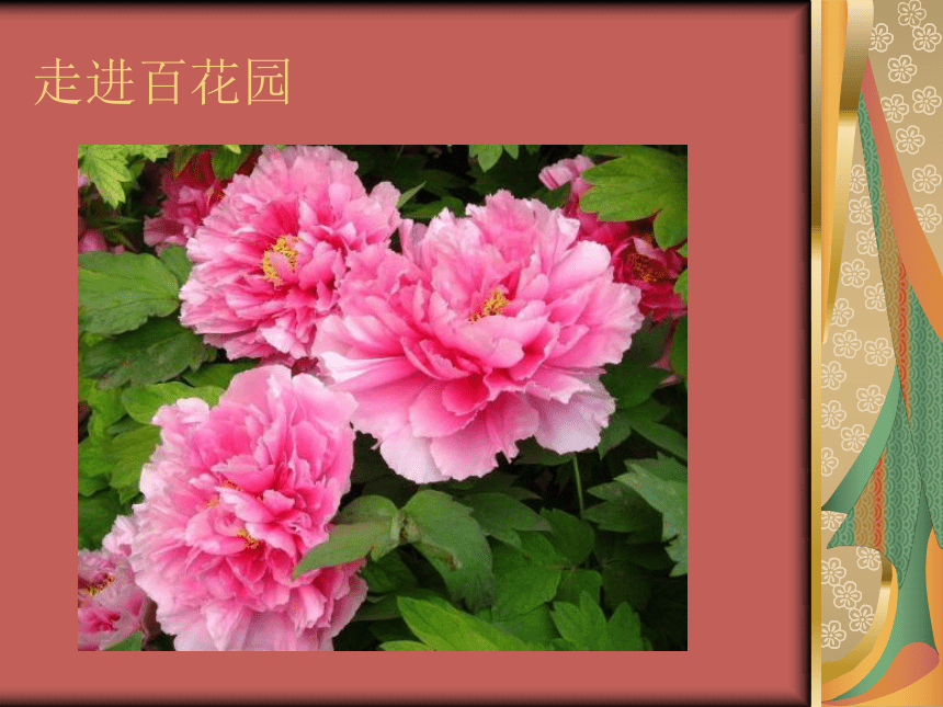 美术 辽海版 五年级上 第四单元  第10课 纸雕花卉 课件（18 张PPT）