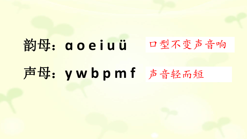 汉语拼音4. d t n l 第1课时 课件(共37张PPT)