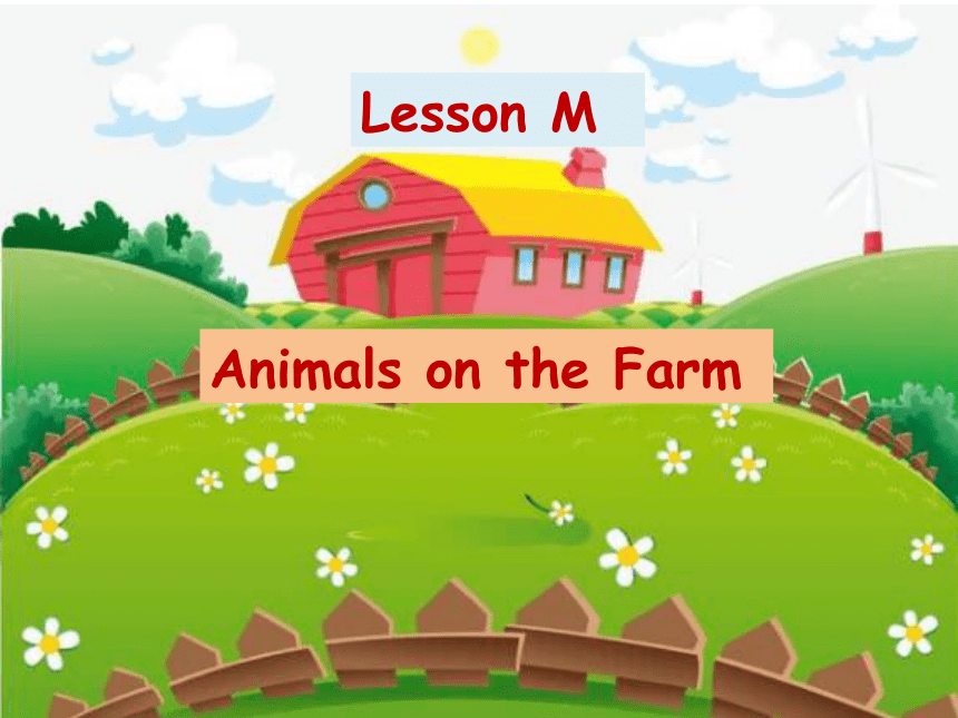 Lesson M Animals on the Farm课件（10张）