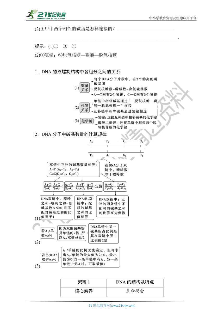 【考点梳理  生物总复习 】39第17讲　DNA的结构、复制及基因的本质（Word版含答案）