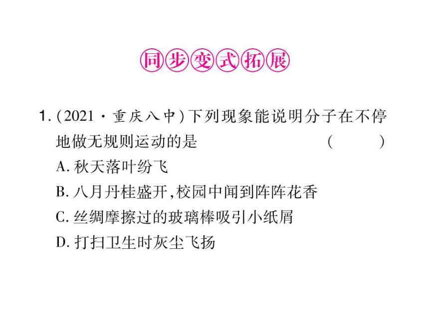 2021-2022学年人教版九年级物理习题课件  第13章 第1节 分子热运动(共25张PPT)