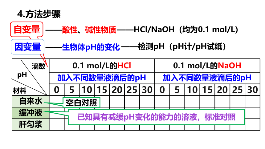 生物人教版（2019）选择性必修1 1.2内环境的稳态（共41张ppt）