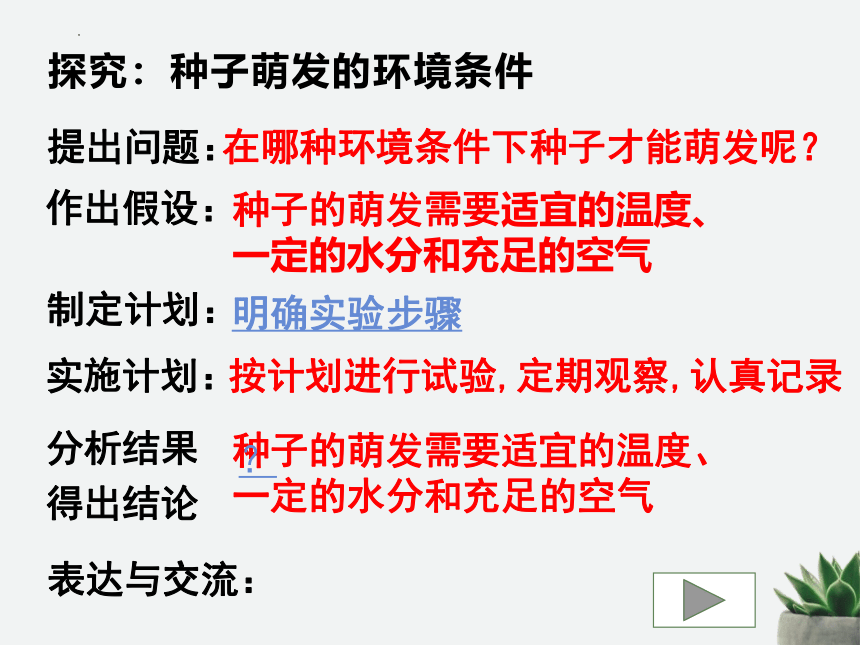 3.2.1种子的萌发课件(共20张PPT)2022--2023学年人教版生物七年级上册