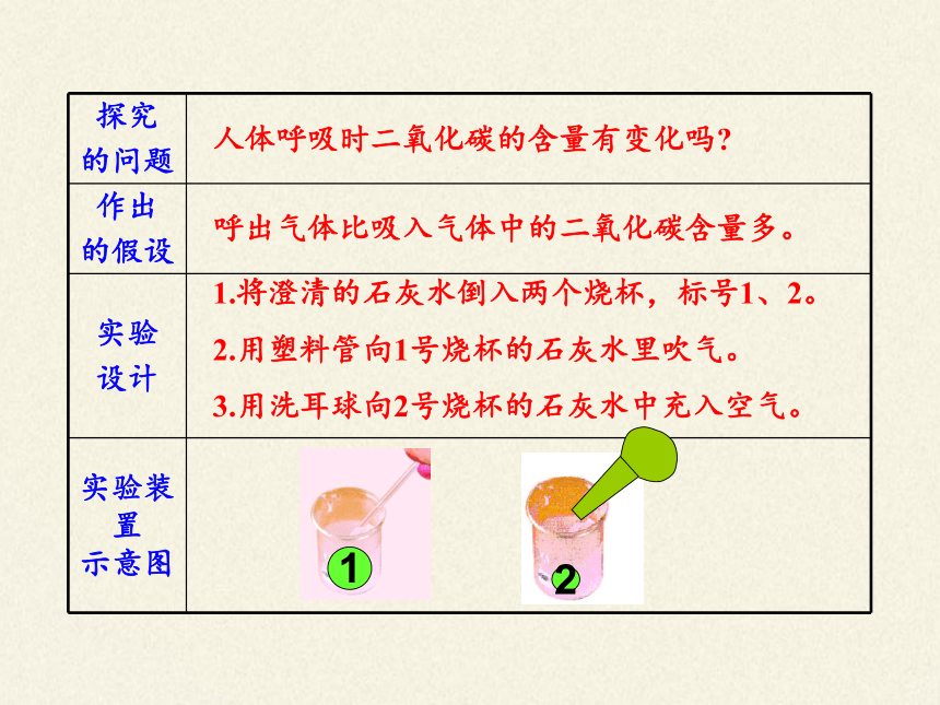 苏教版生物七年级下册 第十章 第四节 人体内的气体交换课件(共21张PPT)