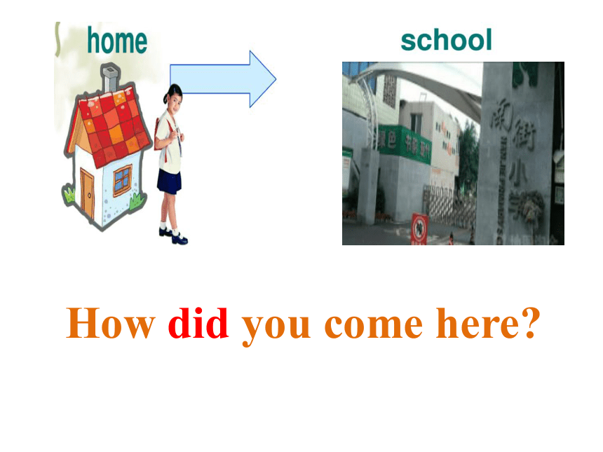 lesson 2 how did you come here课件（18张）