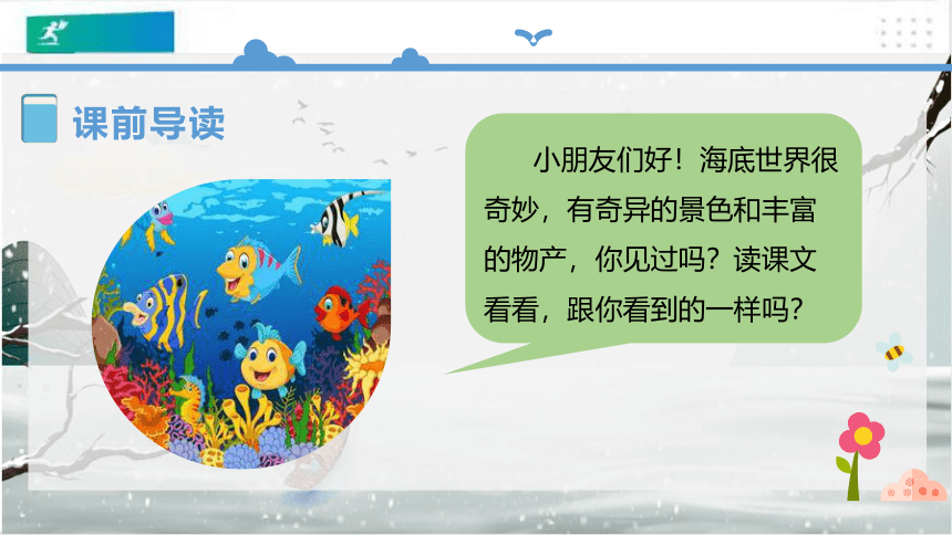 23《海底世界》课件（共49张PPT）