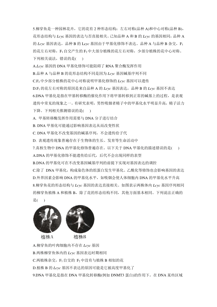 2021-2022学年高一下学期生物浙科版必修2：3.5 生物体存在表观遗传现象 课时作业（word版含解析）