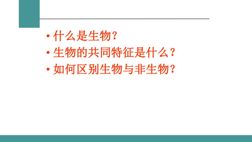 1.1.1生物的特征 课件 2021-2022学年人教版生物七年级上册（34张PPT）